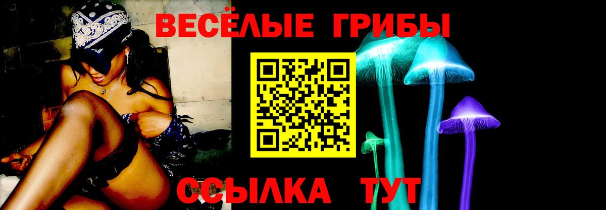 Псилоцибиновые грибы Psilocybe Сочи